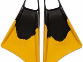 Palmes Supers Fins 17