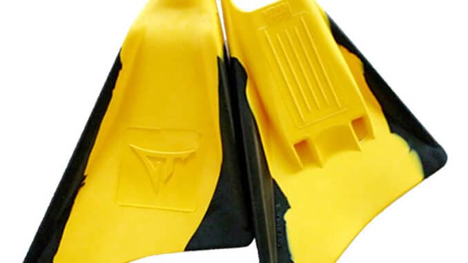 Palmes GT Fins